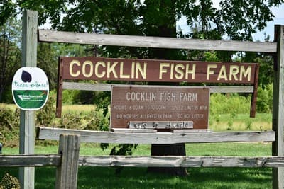 The entrance sign at Cocklin Fish Farm